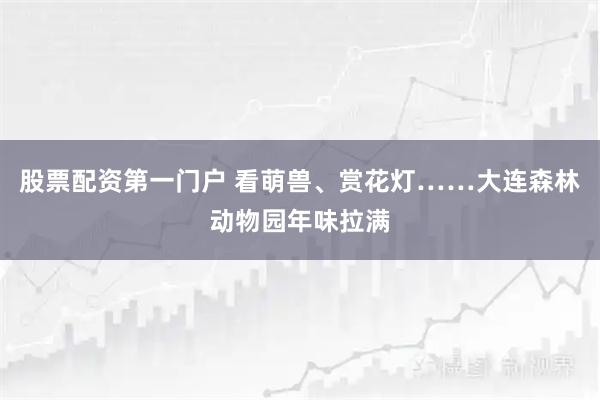 股票配资第一门户 看萌兽、赏花灯……大连森林动物园年味拉满