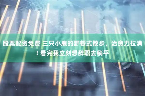 股票配资免费 三只小鹿的野餐式散步，治愈力拉满! 看完我立刻想辞职去躺平